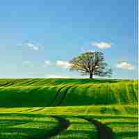 高‍效‌百‌度​统‌计﻿教﻿程‌